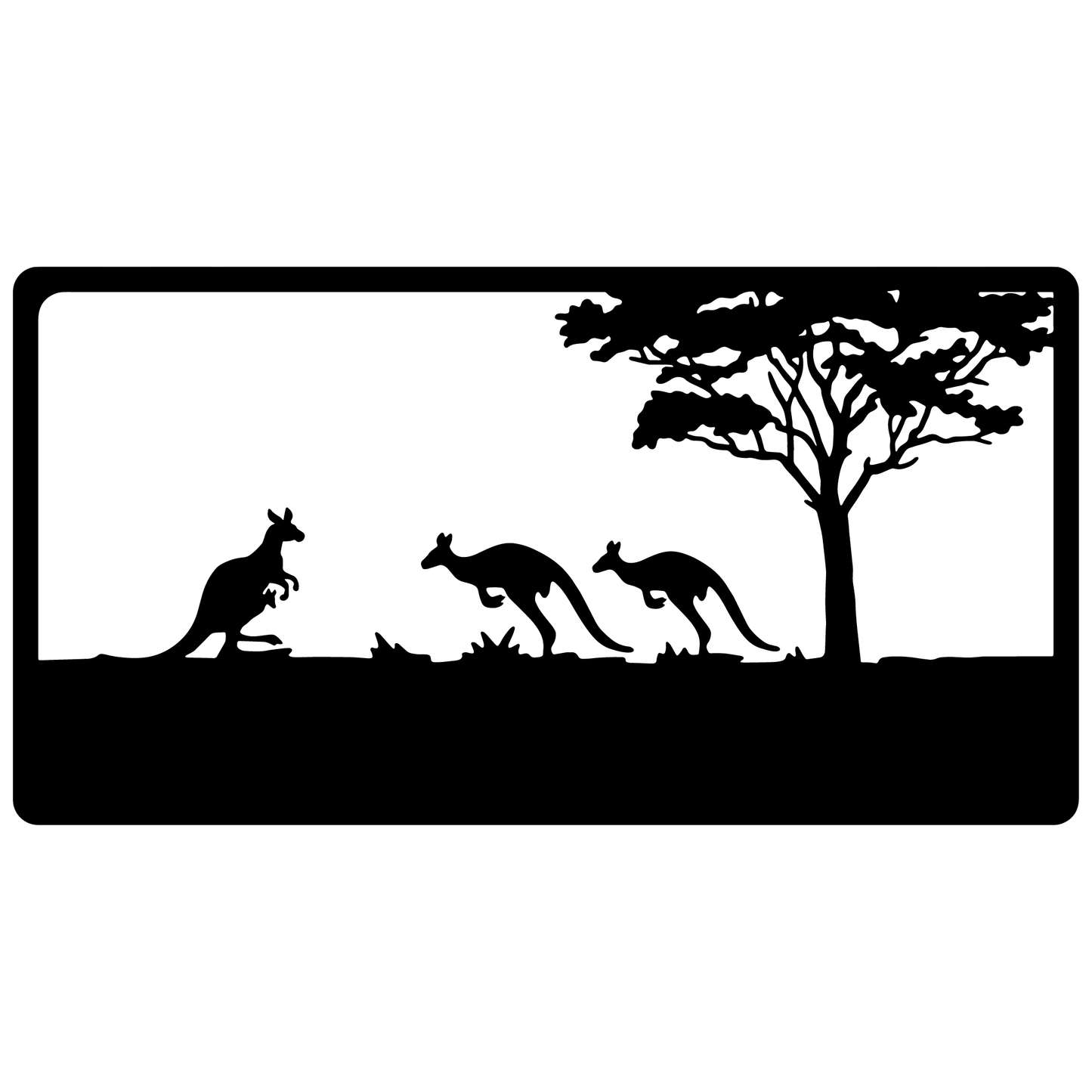 Kangaroos